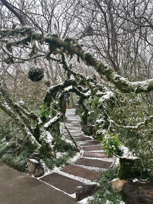 雲台山雪景絕了!初雪打卡攻略來啦~ 雲台山雪景絕了!初雪打卡攻略來啦~