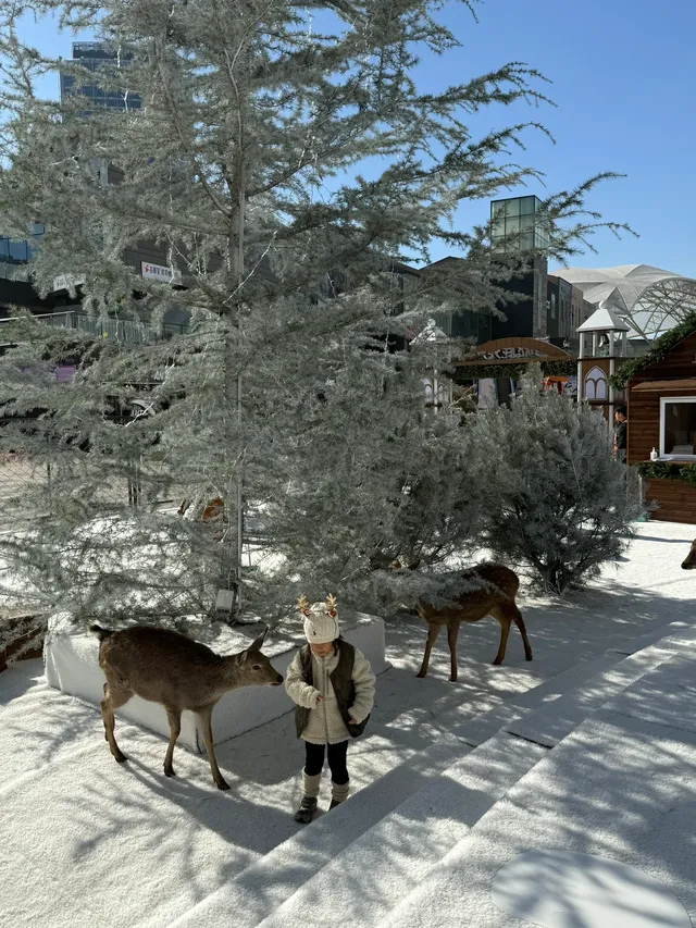 小來黃島嘉年華海信廣場啦~ 小來黃島嘉年華海信廣場啦~