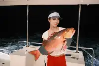 不是在旅遊就是在旅遊的路上