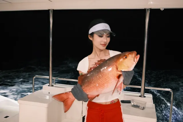 不是在旅遊就是在旅遊的路上