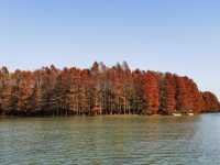 上海秋日出遊優選地