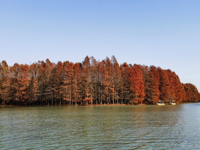 上海秋日出遊優選地 上海秋日出遊優選地