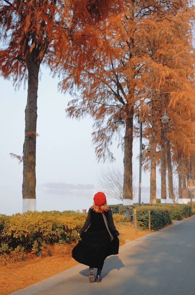 武漢東湖最美步道!!封神了好嘛!!巨美 武漢東湖最美步道!!封神了好嘛!!巨美