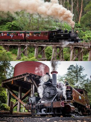 วันคริสต์มาสและวันปีใหม่: ขบวนพาเหรดเพนกวินบนรถไฟไอน้ำเมลเบิร์น