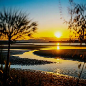 大澳漁村のシーフードガイド