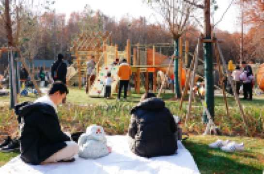 上海新的橫沔公園,開園3天遊客量破萬