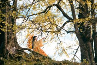 古風の女の子の秋の写真撮影ガイド、紅葉と花のロマンチックな出会い