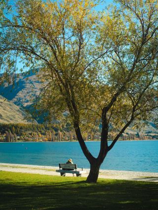 Quality Small Group Tour! 11 Days Slow Travel in New Zealand’s North and South Islands for 8 People