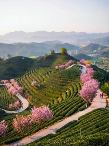 Tongzhou Island Double Scenery Check-in