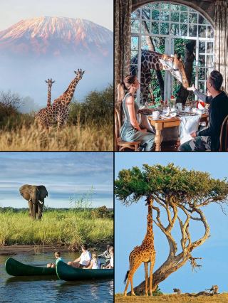 一気にアフリカでの動物観察を語り尽くす！結局どう遊べばいいの？