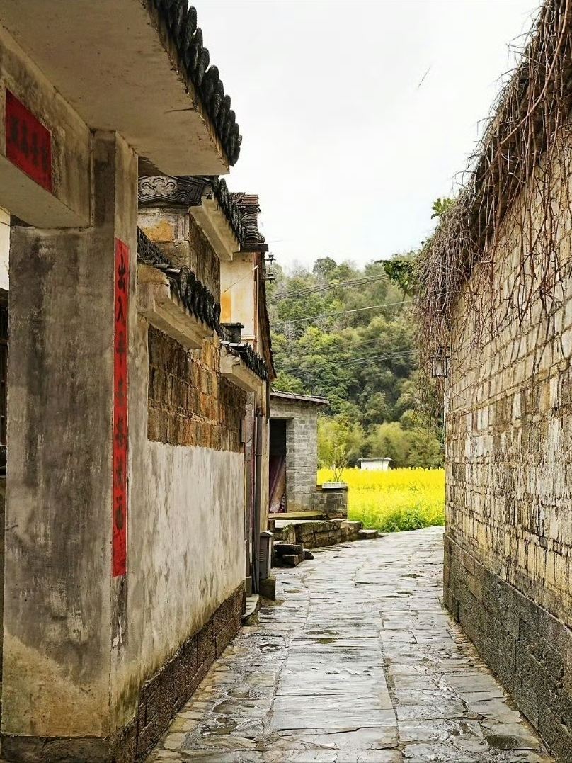 思溪延村 参考图 5