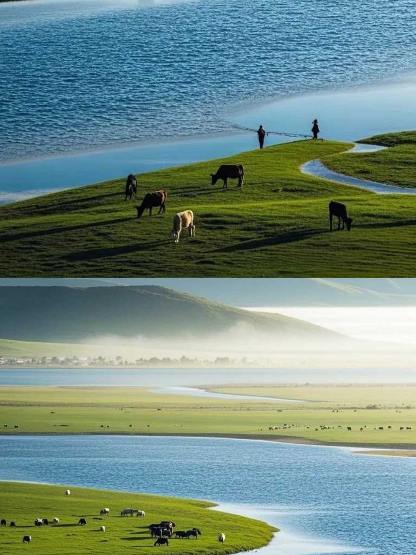 Hidden Northern Grassland Secret Near Beijing
