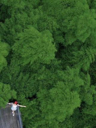 寧海の森に隠れた48時間の避世癒しのマイナースポット