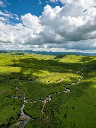 ทำไมต้องทุ่งหญ้าเมเรน? เพราะสามประเด็นนี้ทำให้ทุ่งหญ้าแห่งนี้โด่งดังในโลกออนไลน์!