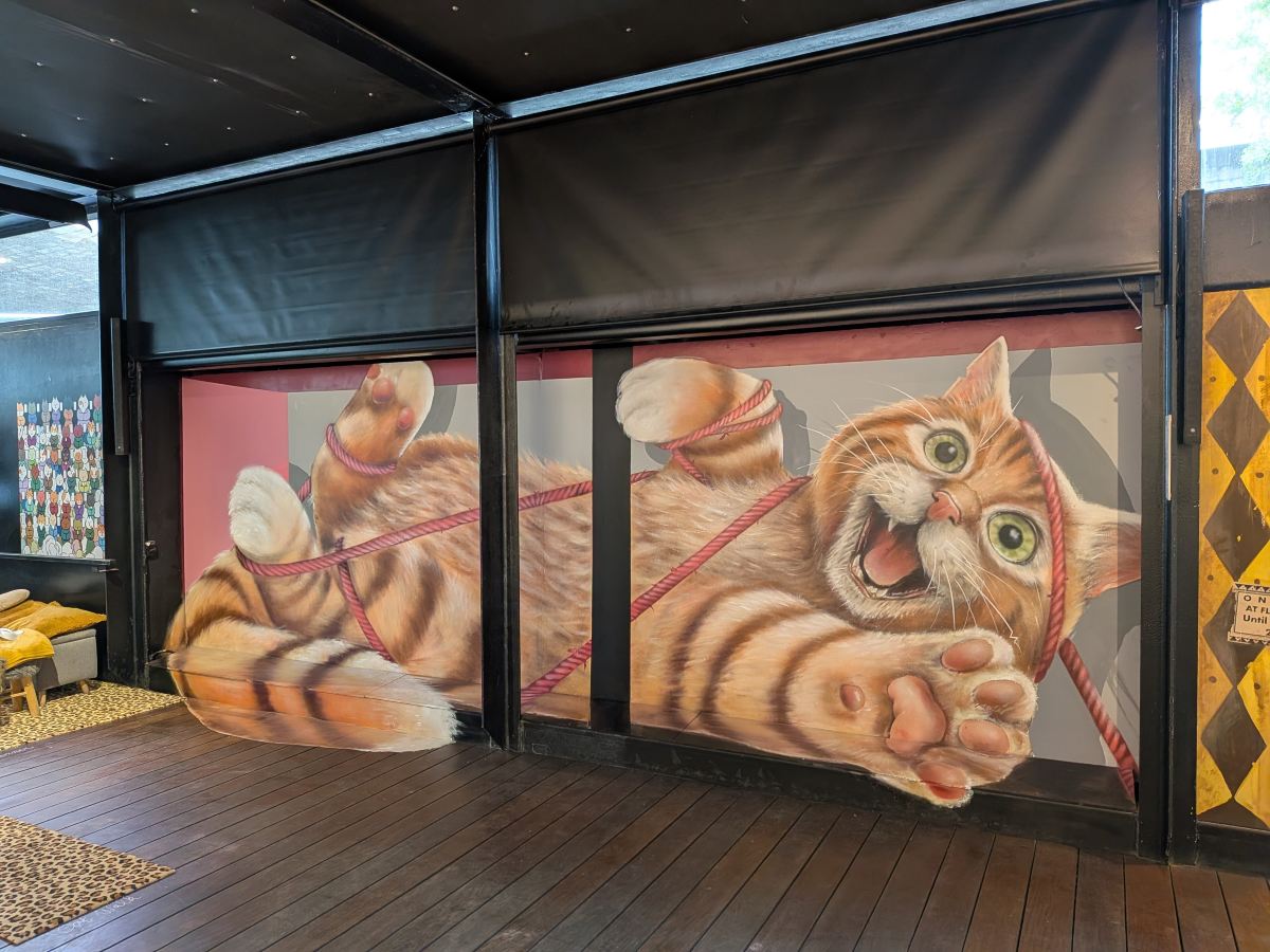 セーヌ川に浮かぶ、猫の展覧会が楽しめるアートセンター | Trip.com パリ