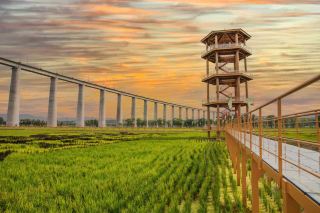 Tired of the busy city life? Head to northern Xinjiang to find your own poetry and distant horizons～  The vast wilderness of Ordos is truly healing, 