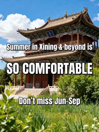 Summer trips to Xining and nearby areas are a must-have nanny-level guide—save it fast