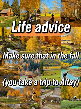A life tip: You must visit Altay in autumn~