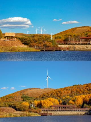 The ultimate autumn foliage destination near Beijing: Bashang's golden autumn is breathtaking