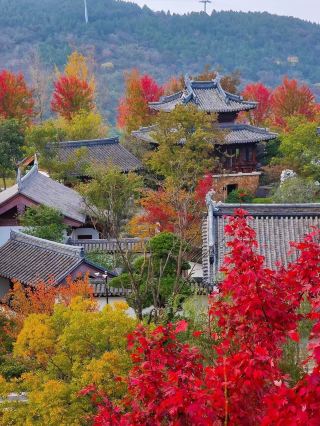 Suyun Thirteen Gardens | An autumn date with Jiangnan gardens