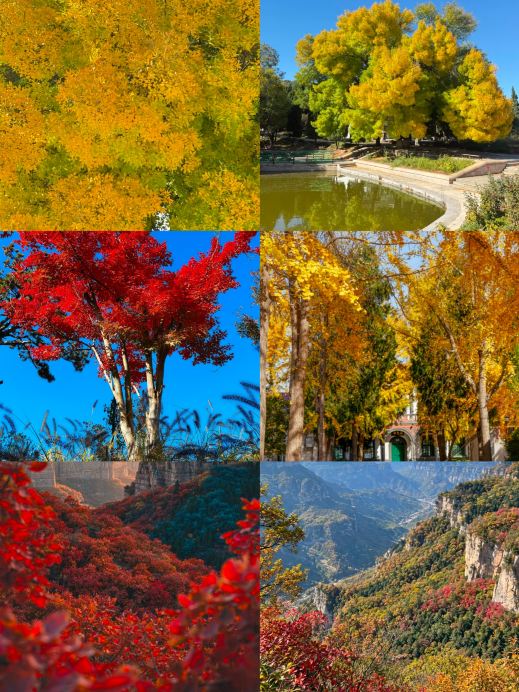 November–December in Shijiazhuang! Perfect for short trips—four autumn foliage spots