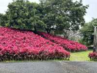 走～踏青去冬山河親水公園！