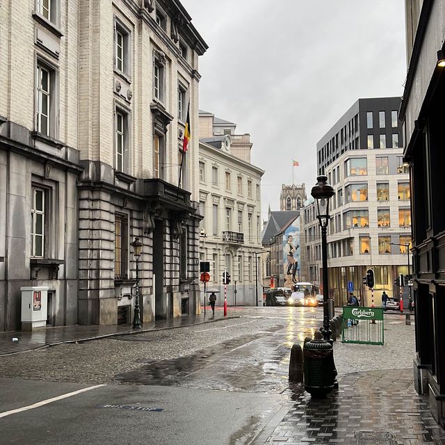 比利時布魯塞爾🇧🇪休閒特別的城市