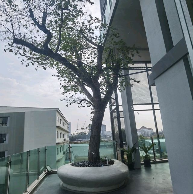 大城府適合自駕遊既新酒店