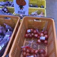 鳥取賀露市場一次滿足幾個願望