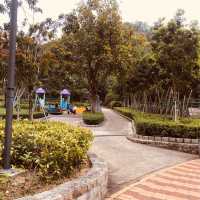 Giant Pandas At Macau's Seac Pai Van Park