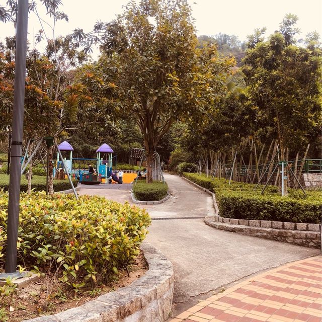 Giant Pandas At Macau's Seac Pai Van Park
