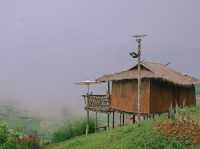 บ้านสวนดอยเปียงปุย  ดอยสกาด จ.น่าน