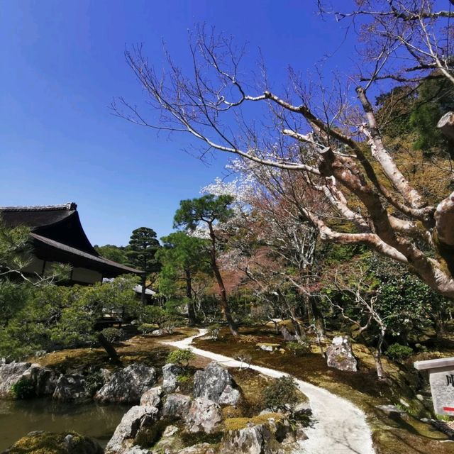 pretty Kyoto temple