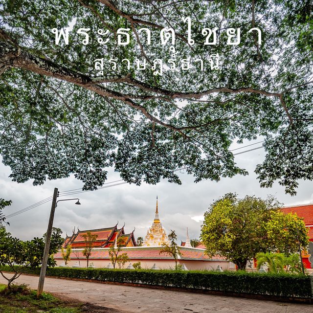 นมัสการพระธาตุไชยา สุราษฎรธานี