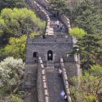 The spring color of Mutianyu Great Wall