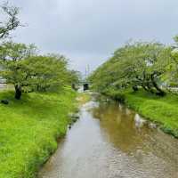 【島根県/玉造温泉】