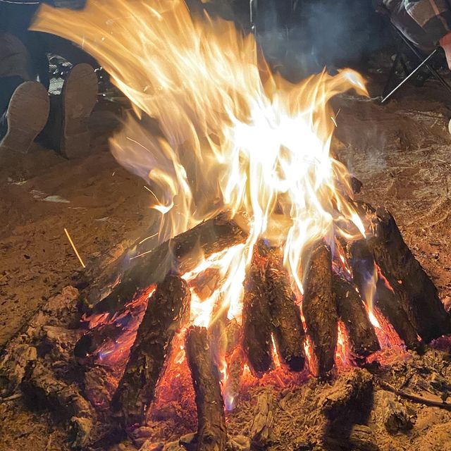 몽골 사막에서 캠핑🏜️