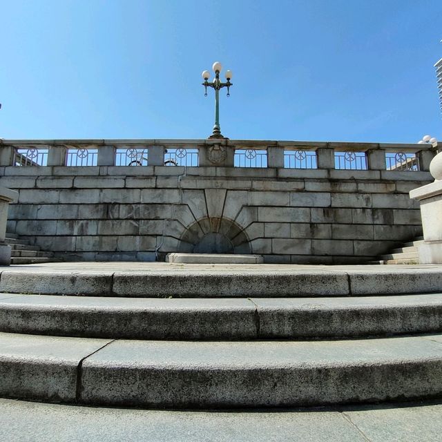 【大阪 中之島】満開のバラ園✨