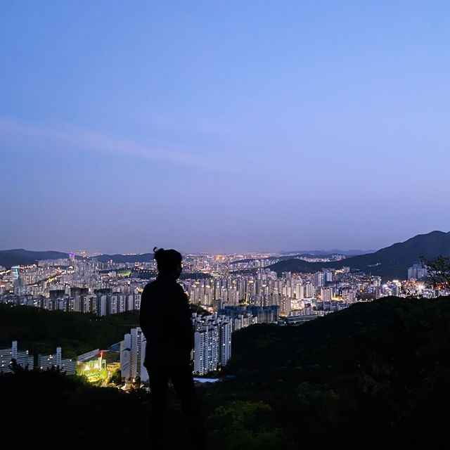 차로 편하게 즐기는 야경 맛집