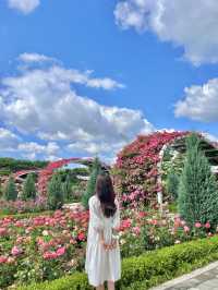 🌹서울대공원 장미원🌹