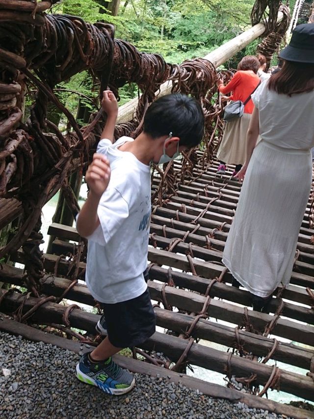 【徳島】秘境の祖谷にあるかずら橋