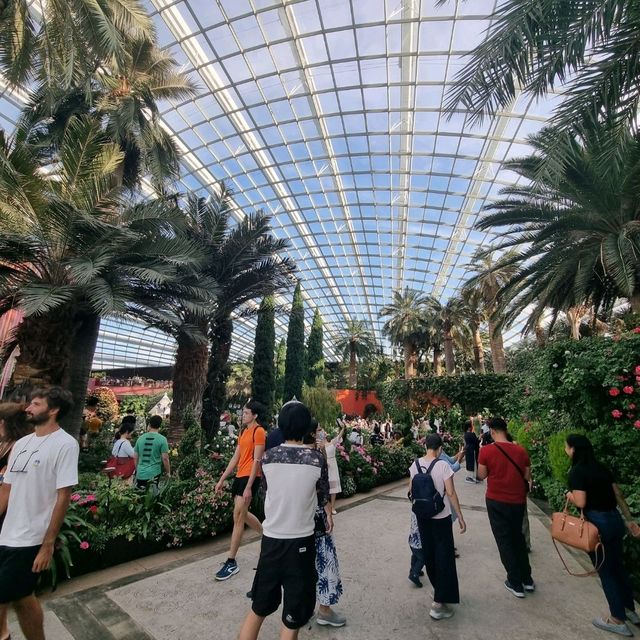 The Flower Dome @ Gardens By The Bay