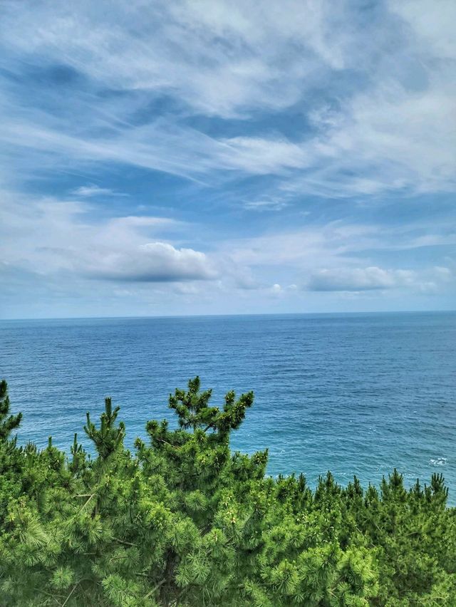 눈부신 동해바다를 한눈에! 영덕 해맞이공원✨️