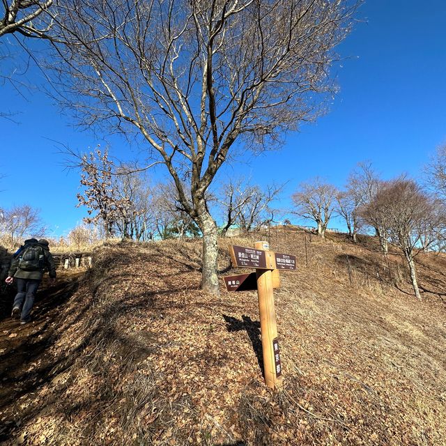 【東京】初心者にもおすすめ！富士山の見える陣馬山