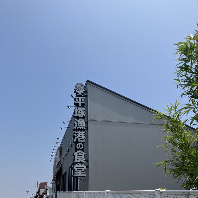 平塚漁港の食堂は新鮮な魚盛りだくさん！
