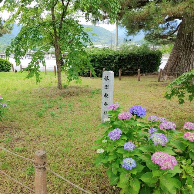京都嵐山キモノ・フォレストとフォトスポット