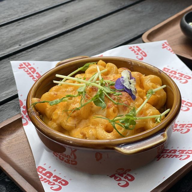 香港銅鑼灣｜精緻日式pet friendly餐廳🍴🐶