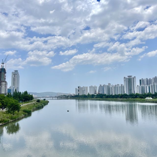 울산 리버사이드 호텔 정보 & 피트니스 및 조식