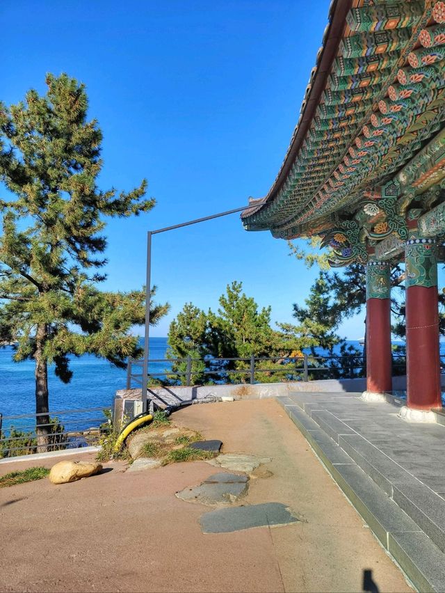 양양을 대표하는 바다뷰가 아름다운 휴휴암🏯