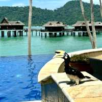 Private Island Resort For A Luxurious Vacay